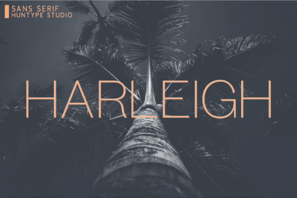 Harleigh: A Refined Sans Serif for Editorial Clarity