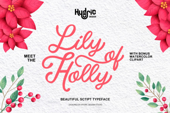Lily of Holy: A Script Handwritten Font That Feels Like a First Draft—But Polished