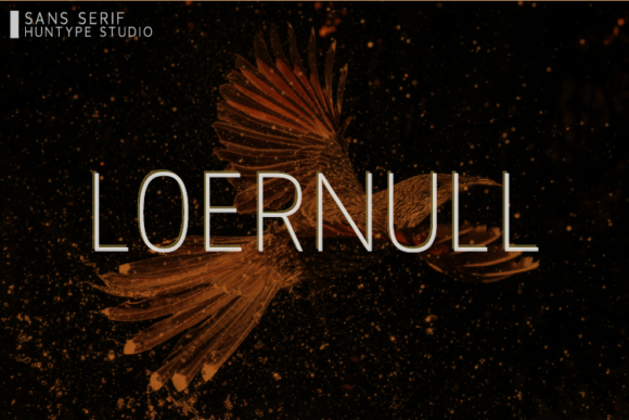 Loernull: A Clean, Tall Sans Serif Font for Brand Clarity