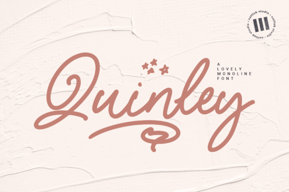 Quinley: A Script That Earns Its Space